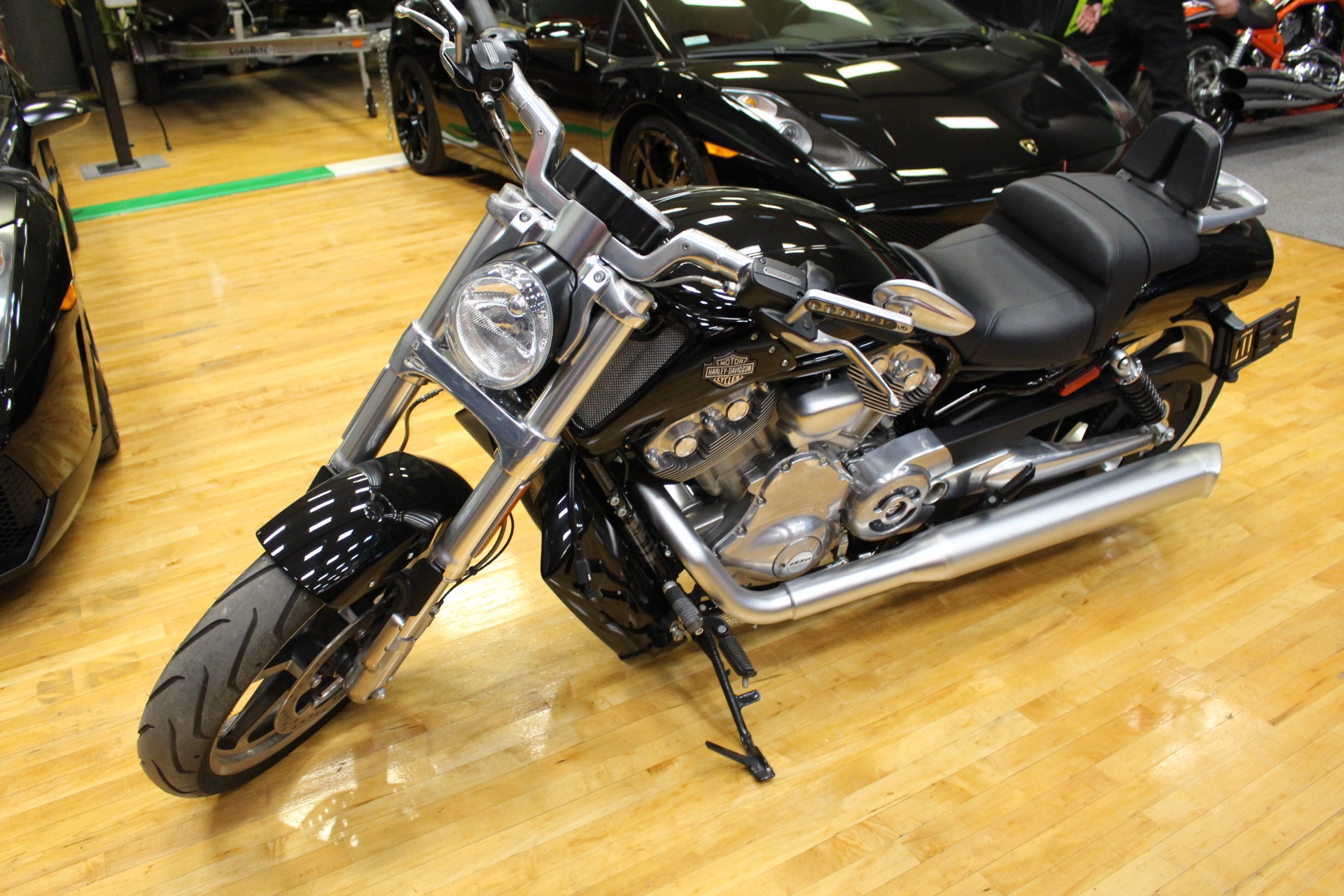 Harley v rod store muscle for sale